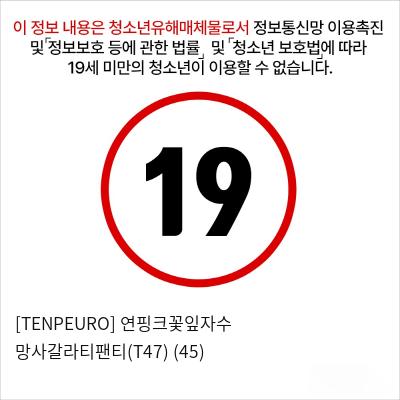 [TENPEURO] 연핑크꽃잎자수 망사갈라티팬티(T47) (45)