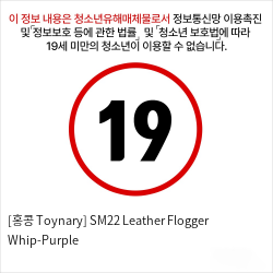 [홍콩 Toynary] SM22 Leather Flogger Whip-Purple